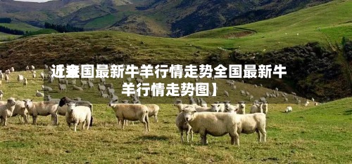 近来【全国最新牛羊行情走势全国最新牛羊行情走势图】