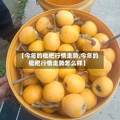 【今年的枇杷行情走势,今年的枇杷行情走势怎么样】-第2张图片