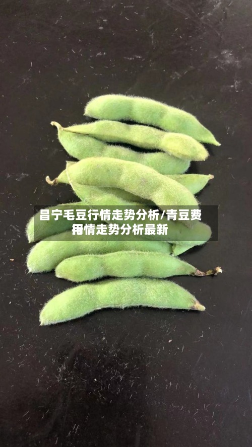 昌宁毛豆行情走势分析/青豆费用行情走势分析最新