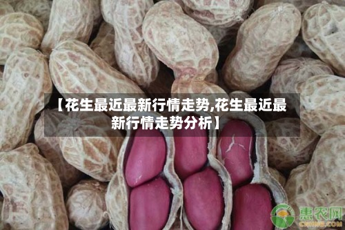 【花生最近最新行情走势,花生最近最新行情走势分析】