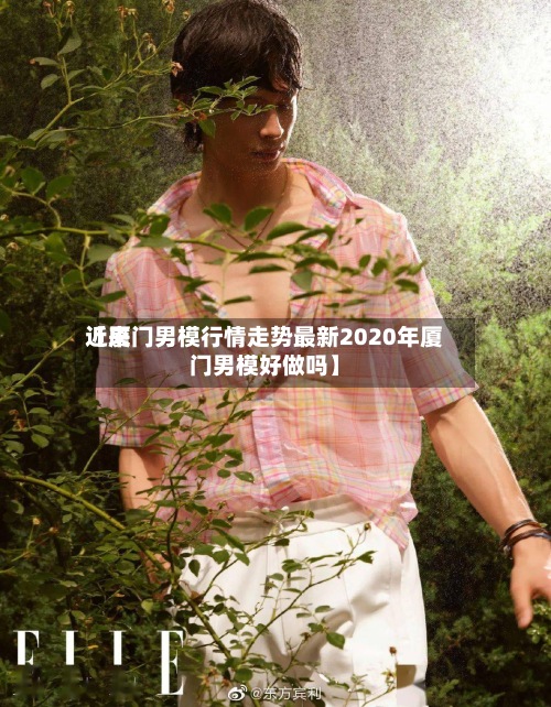 近来【厦门男模行情走势最新2020年厦门男模好做吗】-第2张图片