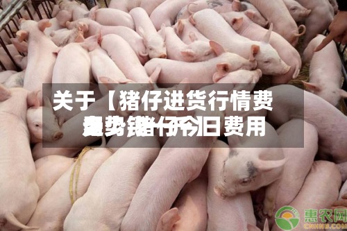 关于【猪仔进货行情费用走势,猪仔今日费用多少钱一斤】-第2张图片