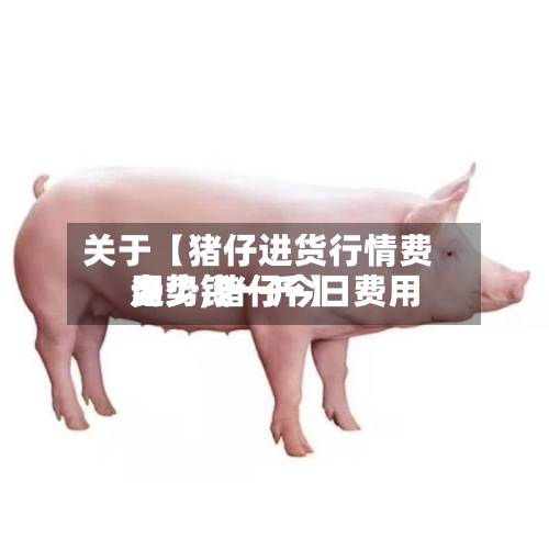 关于【猪仔进货行情费用走势,猪仔今日费用多少钱一斤】-第3张图片