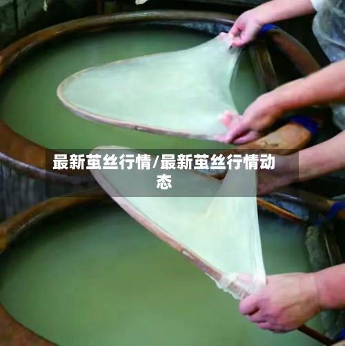 最新茧丝行情/最新茧丝行情动态