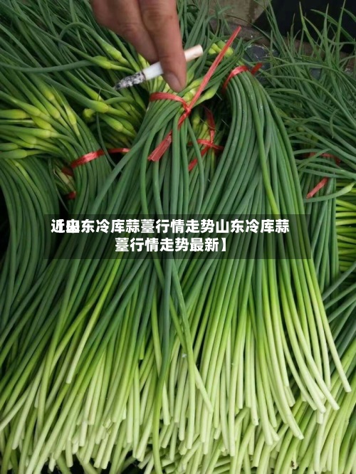 近来
【山东冷库蒜薹行情走势山东冷库蒜薹行情走势最新】-第2张图片