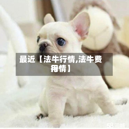 最近【法牛行情,法牛费用行情】-第2张图片