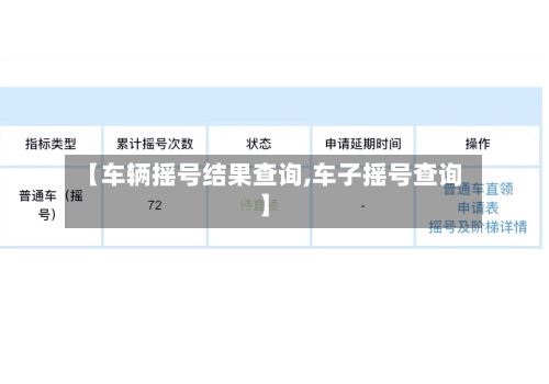 【车辆摇号结果查询,车子摇号查询】