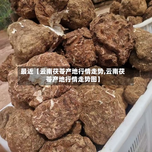 最近【云南茯苓产地行情走势,云南茯苓产地行情走势图】-第2张图片