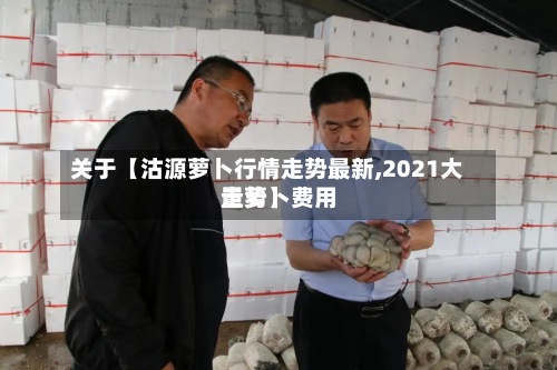 关于【沽源萝卜行情走势最新,2021大量萝卜费用走势】