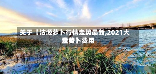 关于【沽源萝卜行情走势最新,2021大量萝卜费用走势】-第2张图片