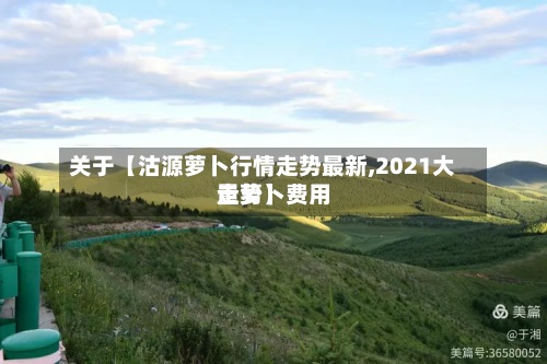 关于【沽源萝卜行情走势最新,2021大量萝卜费用走势】-第3张图片