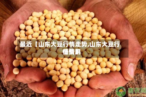最近【山东大豆行情走势,山东大豆行情费用行情】-第3张图片