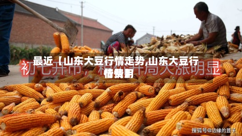 最近【山东大豆行情走势,山东大豆行情费用行情】-第2张图片