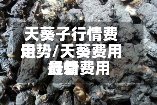 天葵子行情费用
走势/天葵费用
最新费用
行情-第2张图片