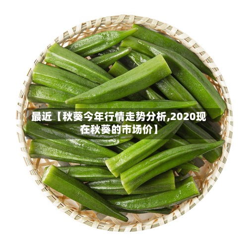 最近【秋葵今年行情走势分析,2020现在秋葵的市场价】-第2张图片