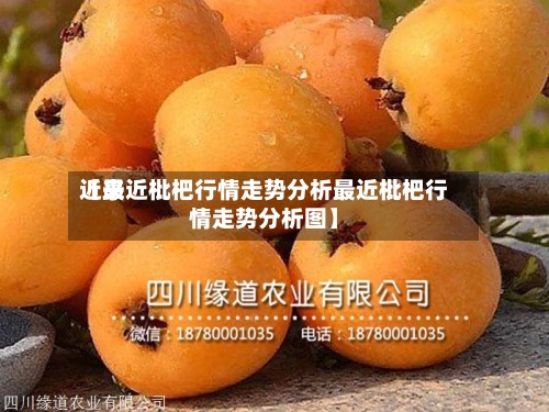 近来【最近枇杷行情走势分析最近枇杷行情走势分析图】-第3张图片