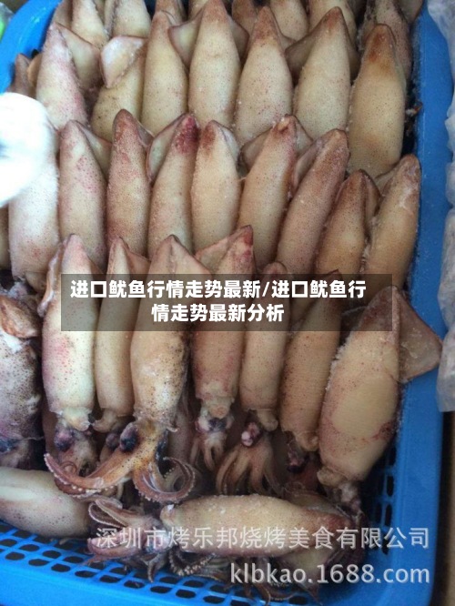 进口鱿鱼行情走势最新/进口鱿鱼行情走势最新分析-第2张图片