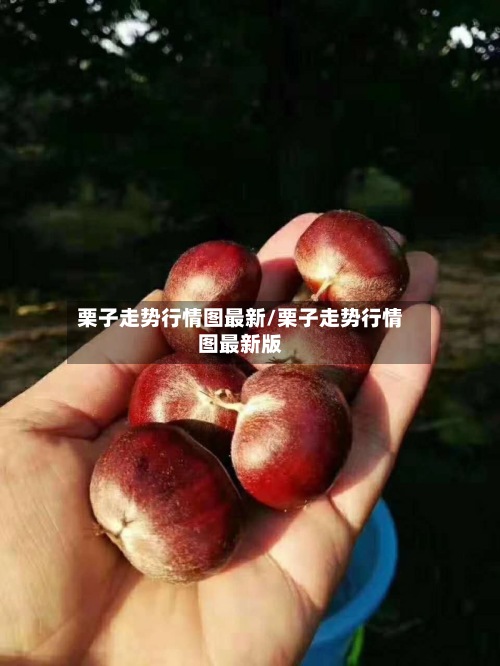栗子走势行情图最新/栗子走势行情图最新版