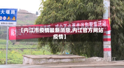 【内江市疫情最新消息,内江官方网站疫情】-第2张图片