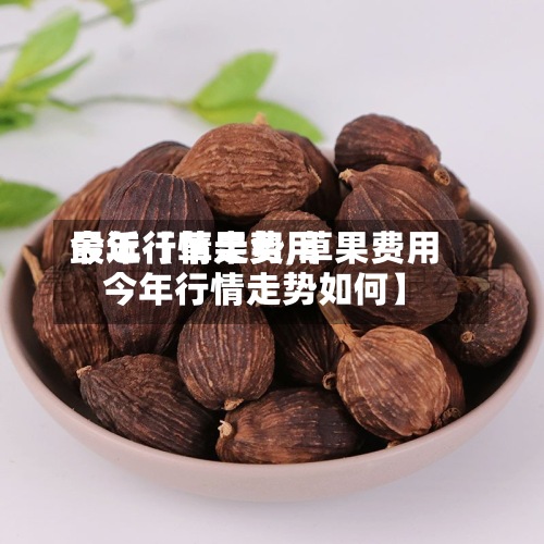 最近【草果费用今年行情走势,草果费用今年行情走势如何】