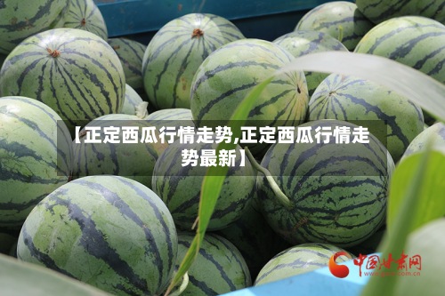 【正定西瓜行情走势,正定西瓜行情走势最新】