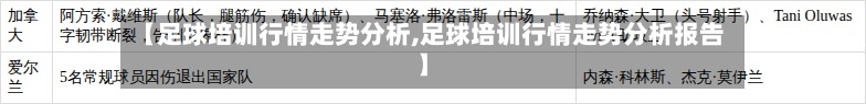 【足球培训行情走势分析,足球培训行情走势分析报告】-第3张图片