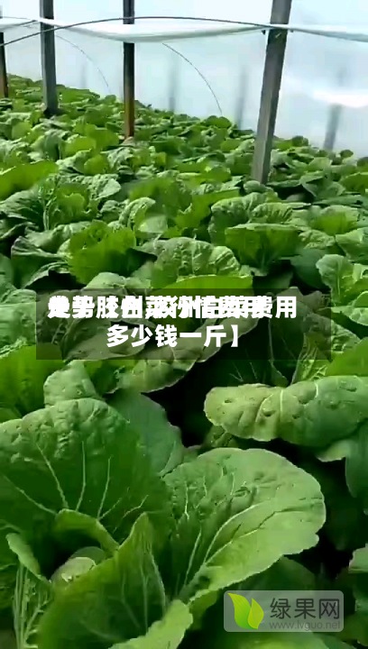 关于【白菜行情费用走势胶州,胶州白菜费用多少钱一斤】