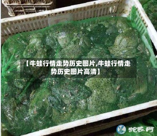 【牛蛙行情走势历史图片,牛蛙行情走势历史图片高清】