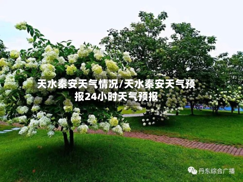 天水秦安天气情况/天水秦安天气预报24小时天气预报