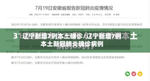 辽宁新增7例本土确诊/辽宁新增7例本土新冠肺炎确诊病例