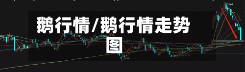 鹅行情/鹅行情走势图-第2张图片