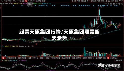 股票天原集团行情/天原集团股票明天走势-第3张图片