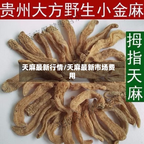 天麻最新行情/天麻最新市场费用