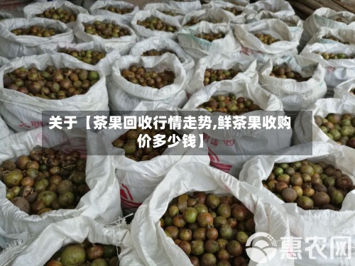 关于【茶果回收行情走势,鲜茶果收购价多少钱】