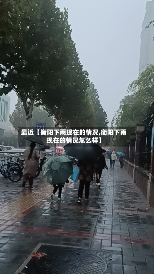 最近【衡阳下雨现在的情况,衡阳下雨现在的情况怎么样】-第3张图片