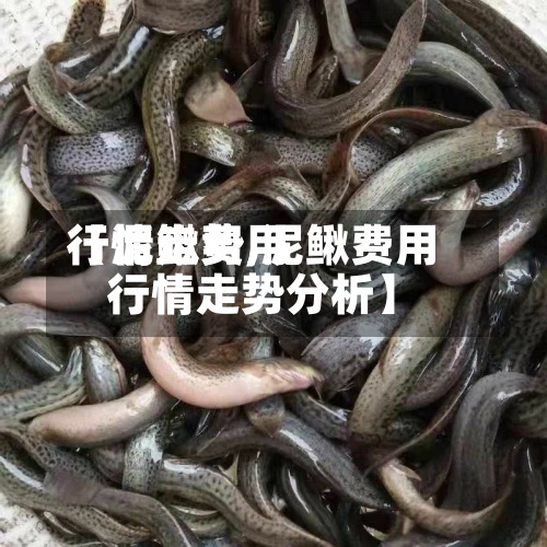 【泥鳅费用行情走势,泥鳅费用行情走势分析】