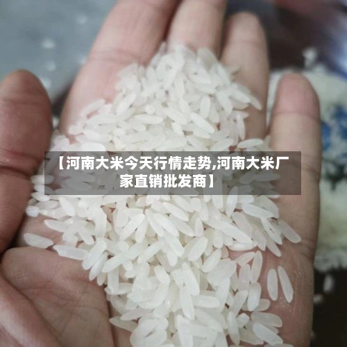 【河南大米今天行情走势,河南大米厂家直销批发商】
