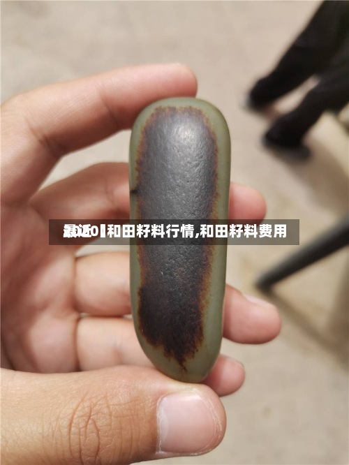最近【和田籽料行情,和田籽料费用2020】-第2张图片