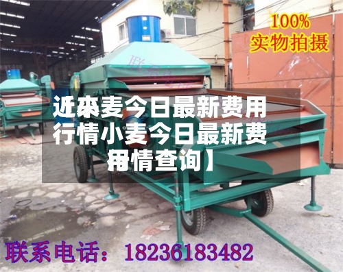 近来【小麦今日最新费用行情小麦今日最新费用行情查询】