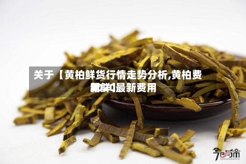 关于【黄柏鲜货行情走势分析,黄柏费用2020最新费用新鲜】