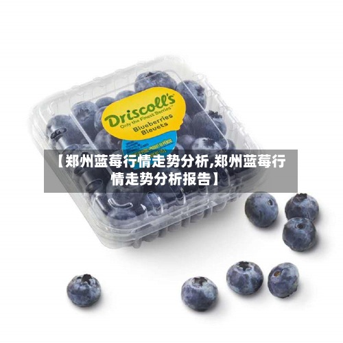 【郑州蓝莓行情走势分析,郑州蓝莓行情走势分析报告】