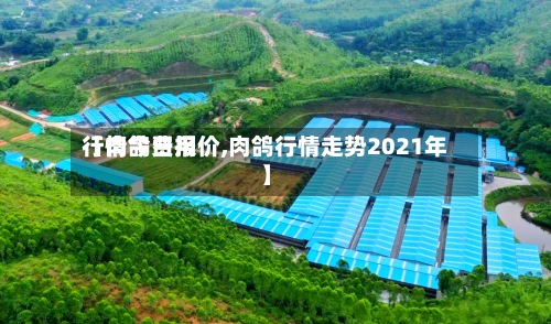 【肉鸽费用
行情今日报价,肉鸽行情走势2021年】-第3张图片