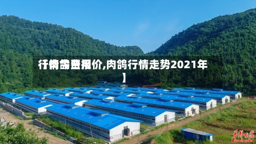 【肉鸽费用
行情今日报价,肉鸽行情走势2021年】-第2张图片