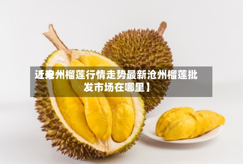 近来
【沧州榴莲行情走势最新沧州榴莲批发市场在哪里】