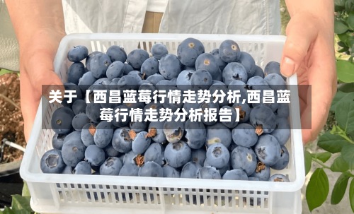 关于【西昌蓝莓行情走势分析,西昌蓝莓行情走势分析报告】-第2张图片
