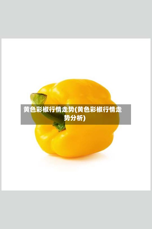 黄色彩椒行情走势(黄色彩椒行情走势分析)