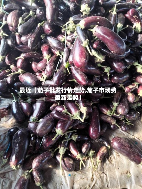 最近【茄子批发行情走势,茄子市场费用最新走势】-第2张图片