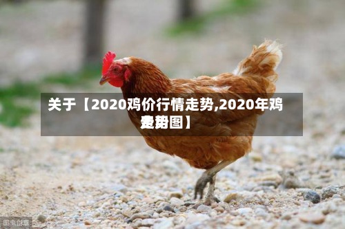 关于【2020鸡价行情走势,2020年鸡费用走势图】