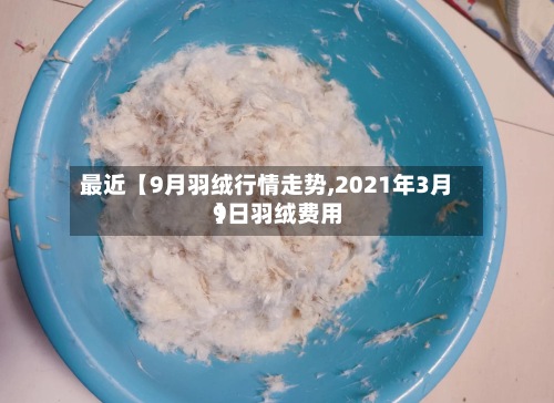 最近【9月羽绒行情走势,2021年3月9日羽绒费用】