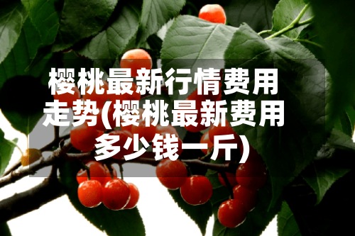 樱桃最新行情费用走势(樱桃最新费用多少钱一斤)